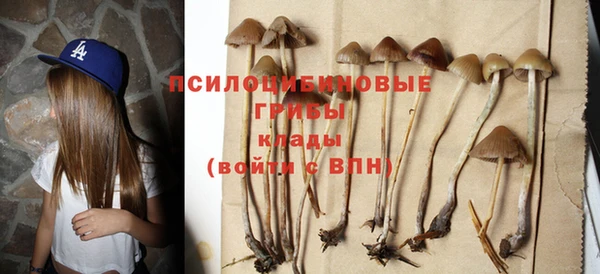 гидропоника Армянск