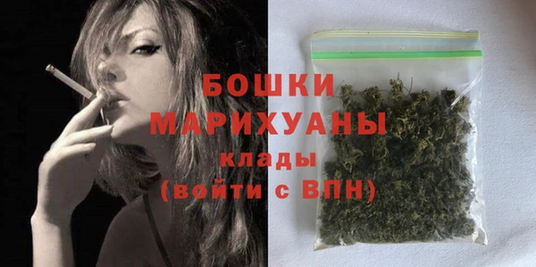 прущий лед Арсеньев