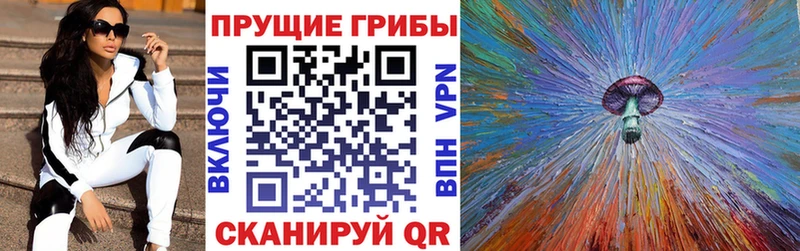 цены наркотик  Новороссийск  mega зеркало  Галлюциногенные грибы ЛСД 